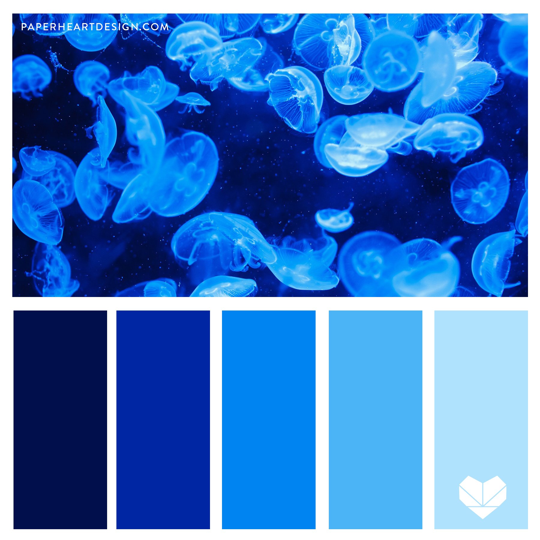 Color Palette: Brilliant Jellyfish — Paper Heart Design Co.
